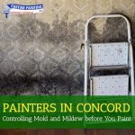 Painters in Concord - Controlling Mold and Mildew before You Paint