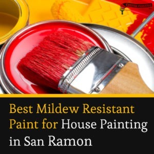 Best Mildew-Resistant Paint for House Painting in San Ramon