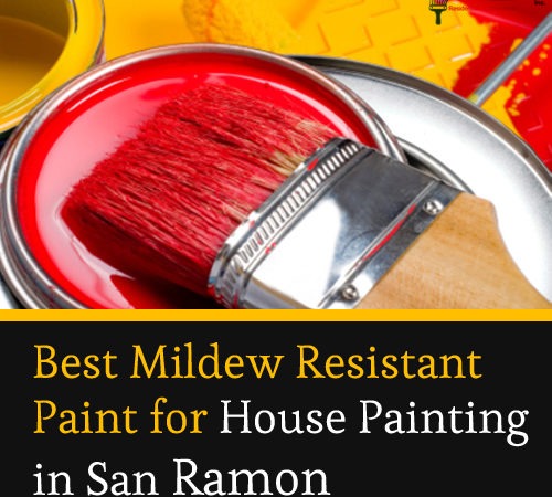 Best Mildew-Resistant Paint for House Painting in San Ramon