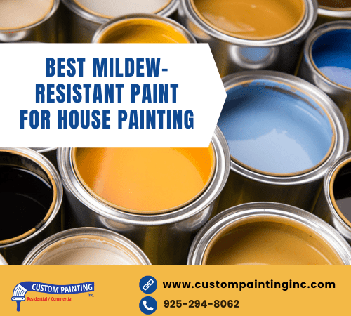 Best Mildew-Resistant Paint for House Painting