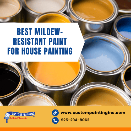 Best Mildew-Resistant Paint for House Painting