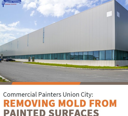 Commercial Painters Union City: Removing Mold from Painting Surfaces