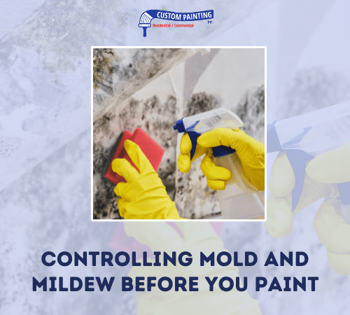 Controlling Mold and Mildew Before You Paint