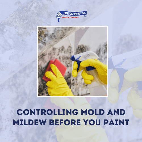 Controlling Mold and Mildew Before You Paint