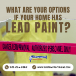 What Are Your Options If Your Home Has Lead Paint?