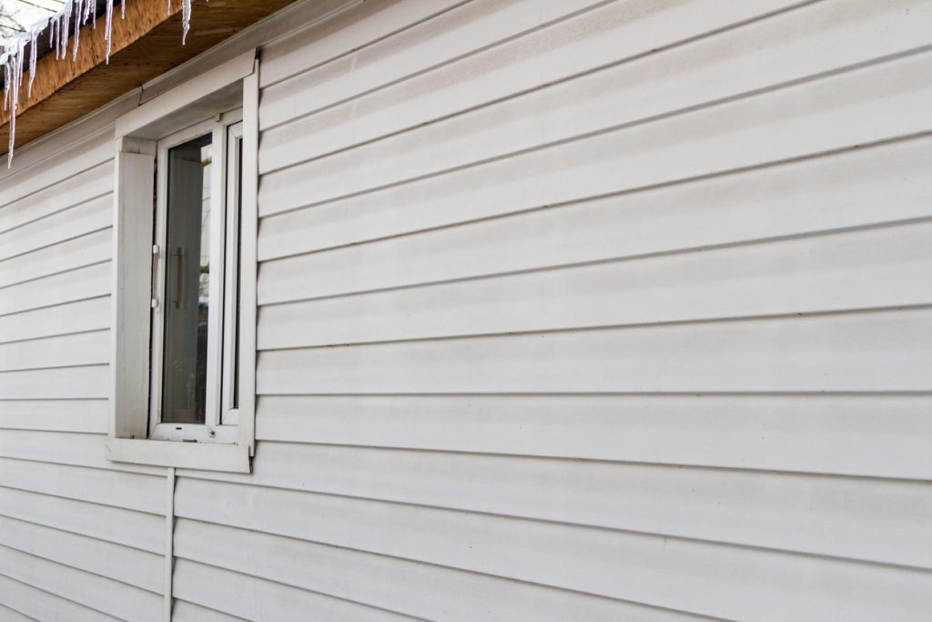 Detailed Siding Or Paint Capture Nature Detailed Siding Or Paint Capture Nature