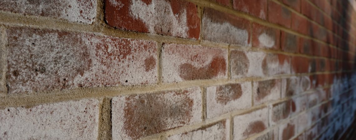 Efflorescence on a brick wall