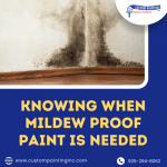 Knowing When Mildew Proof Paint Is Needed
