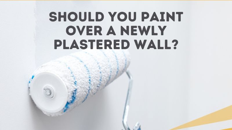 Should You Paint Over a Newly Plastered Wall
