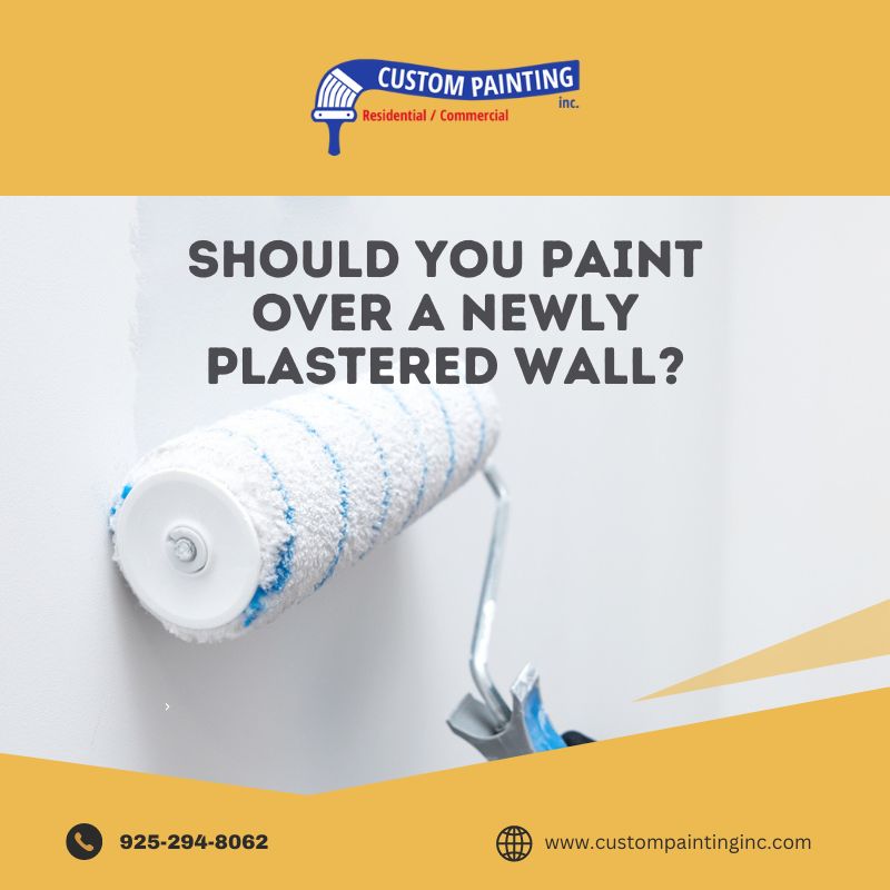 Should You Paint Over a Newly Plastered Wall