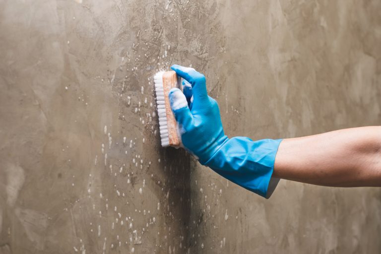 How to Clean Walls with TSP Before Painting Custom Painting, Inc.