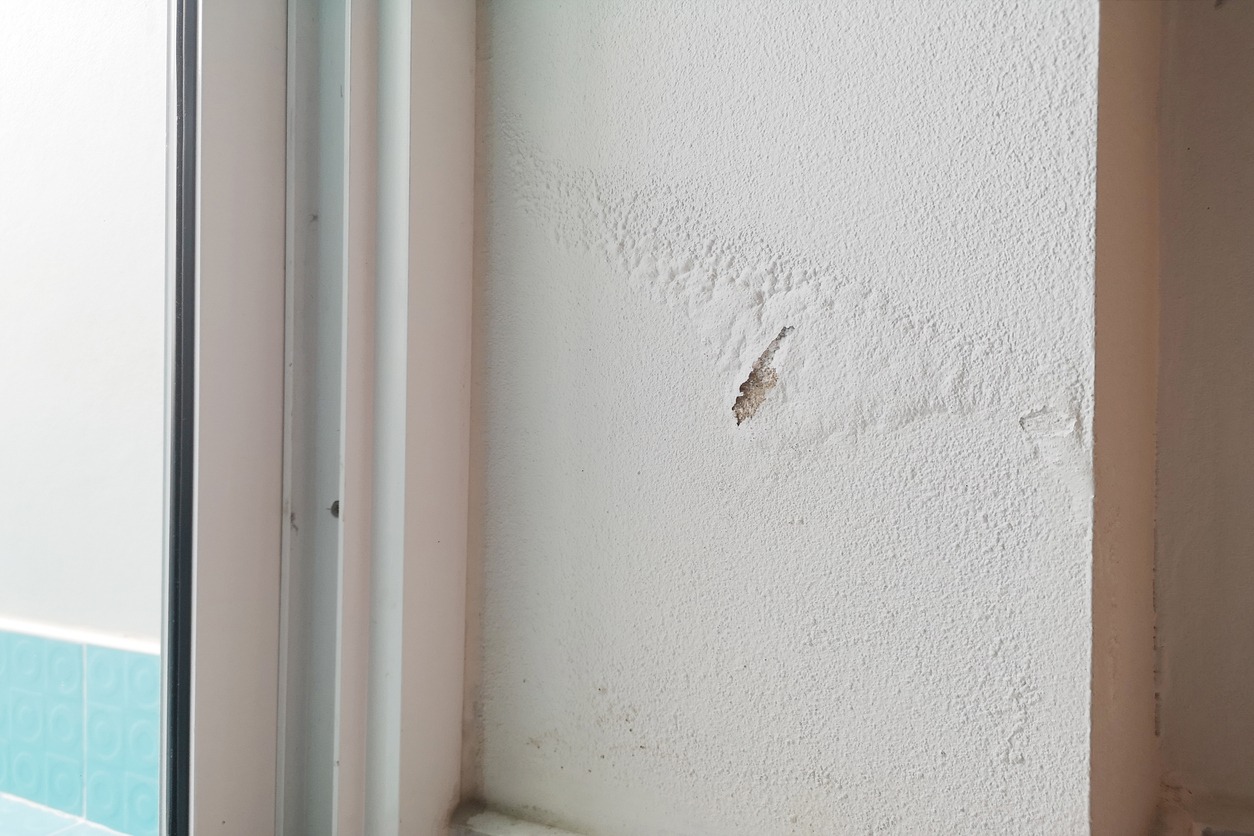 Excessive moisture can cause mold and peeling paint wall such as rainwater leaks or water leaks.