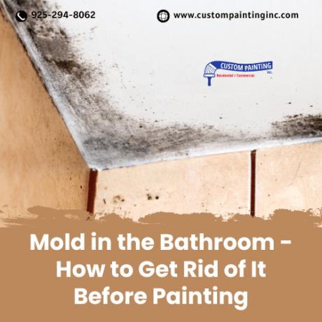 Mold in the Bathroom ??? How to Get Rid of It Before Painting | Custom Painting, Inc.