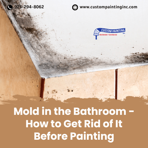 Mold in the Bathroom - How to Get Rid of It Before Painting