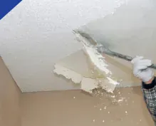 Ceiling Removal