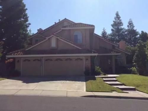 Custom Painting Services 