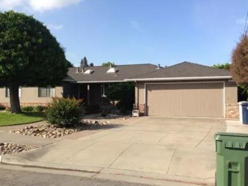 Custom Painting Services 