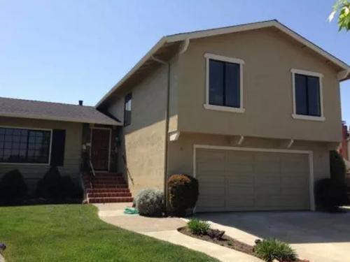 Custom Painting Services 