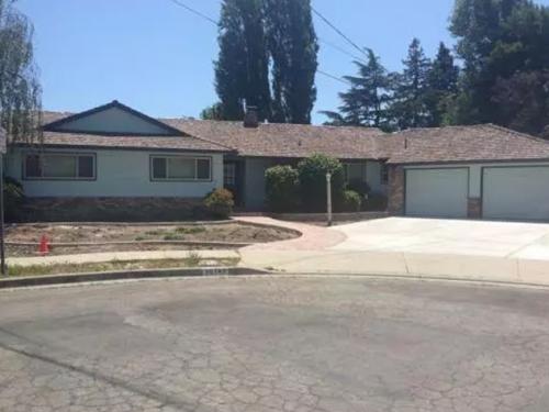 Custom Painting Services 