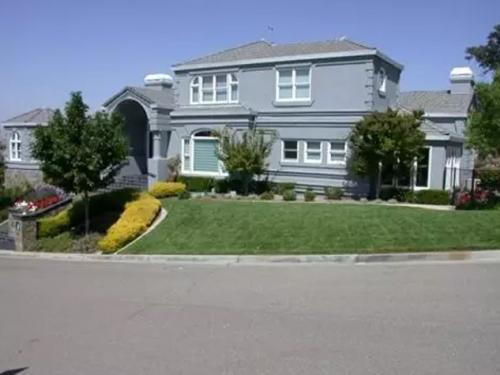 Custom Painting Services