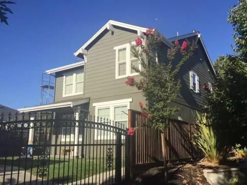 Custom Painting Services 