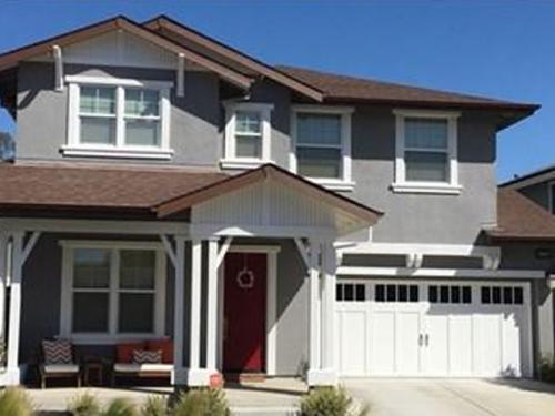 Custom Painting Services 