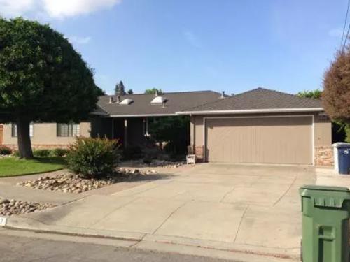 Custom Painting Services