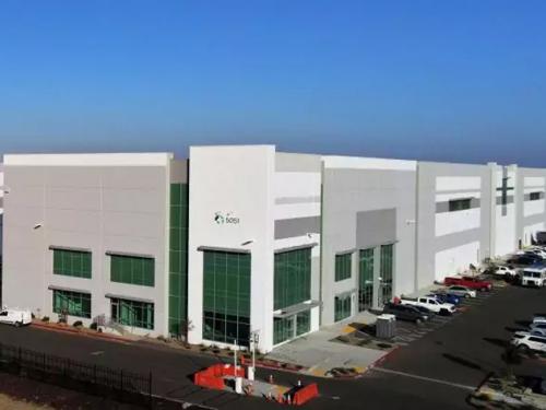 Custom Painting Services