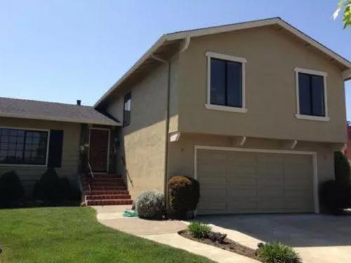 Custom Painting Services