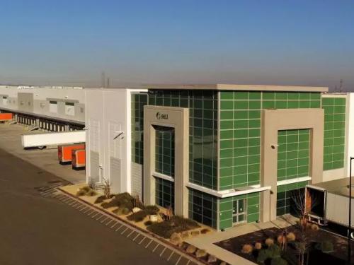 Custom Painting Services 