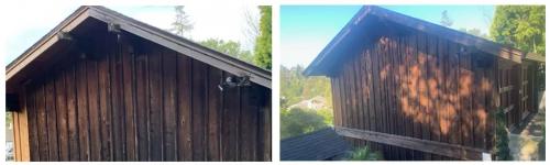 House Painting Danville Work